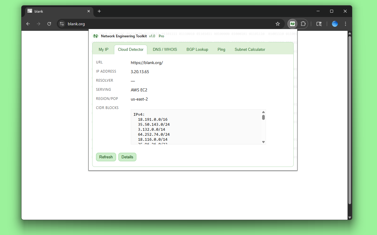 Network Engineer Toolkit (Browser Extension)